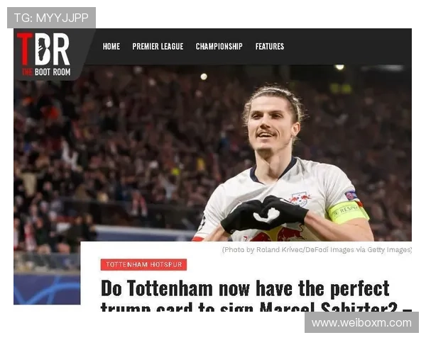 记者曝特尔惊讶热刺再无缘欧冠